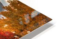 Fall No17 HD Metal print