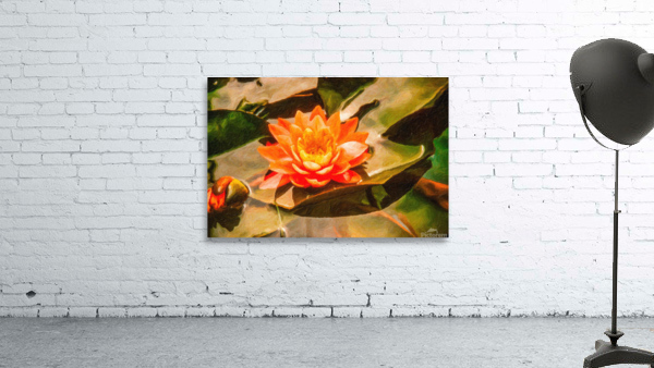 Lilly Pad No1 Wall Preview