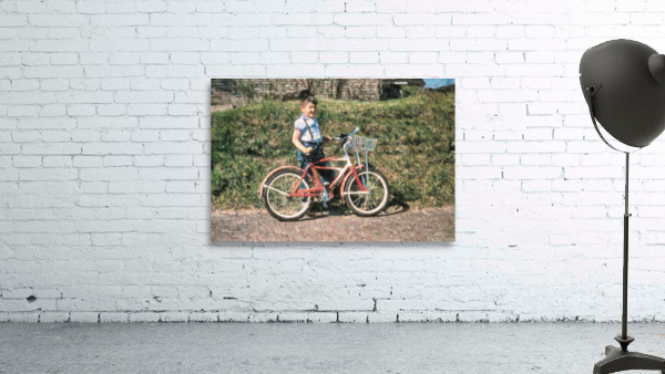 eds bike Wall Preview