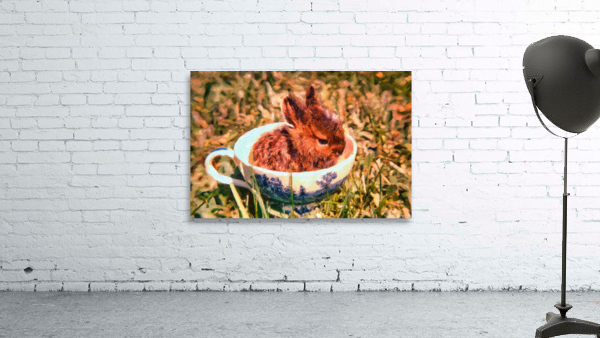 Teacup bunny Wall Preview