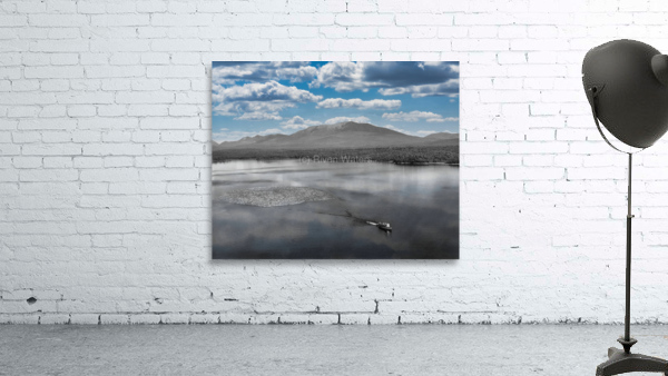 Katahdin Magic 5 Wall Preview