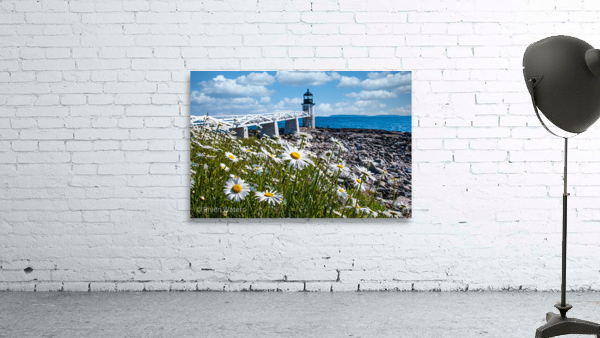 Coastal 25 Wall Preview