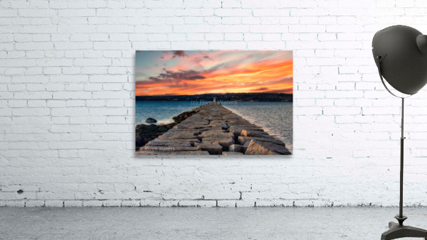 Coastal 22 Wall Preview