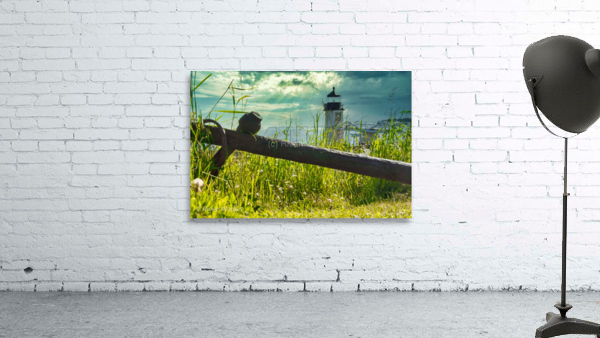 Coastal 16 Wall Preview