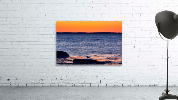 Coastal 21 Wall Preview