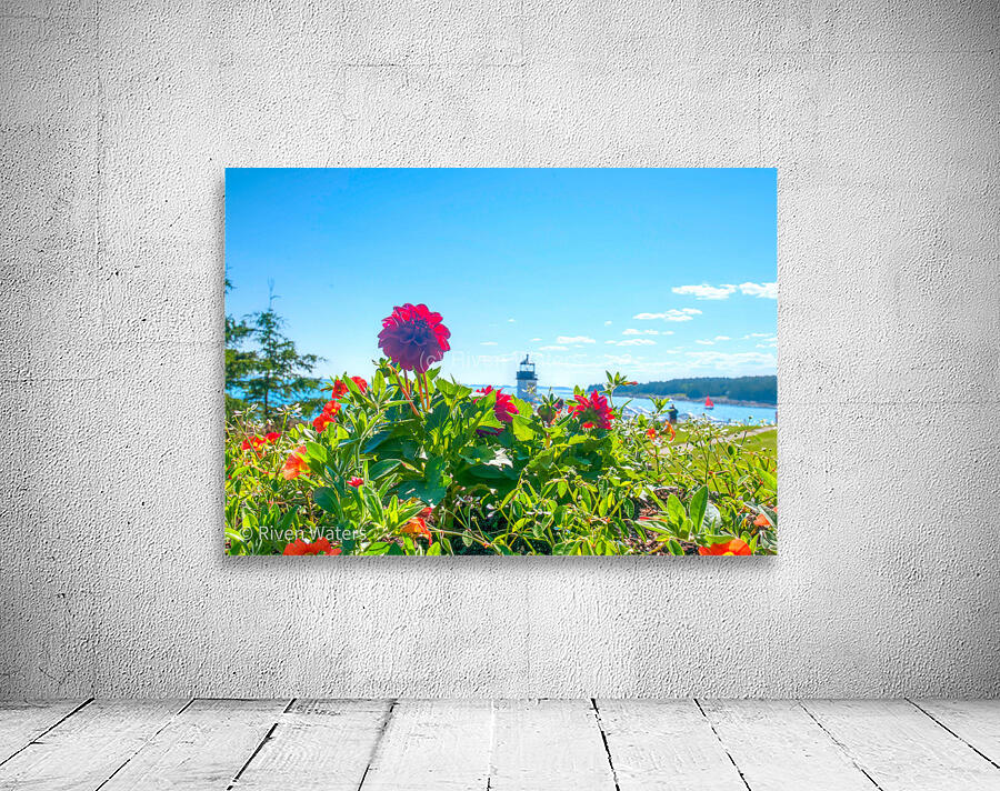 Flowers039 Wall Preview
