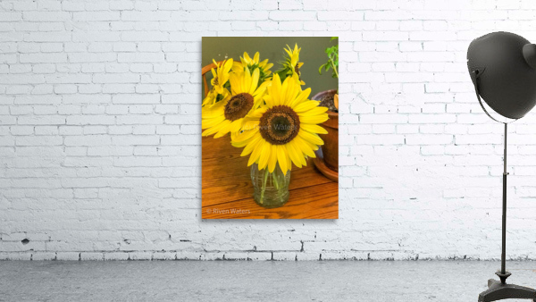 Flowers029 Wall Preview