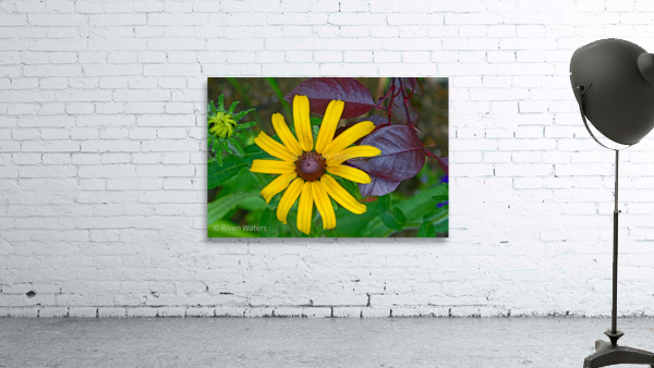 Flowers001 Wall Preview