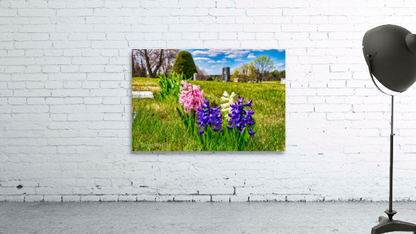 Flowers002 Wall Preview