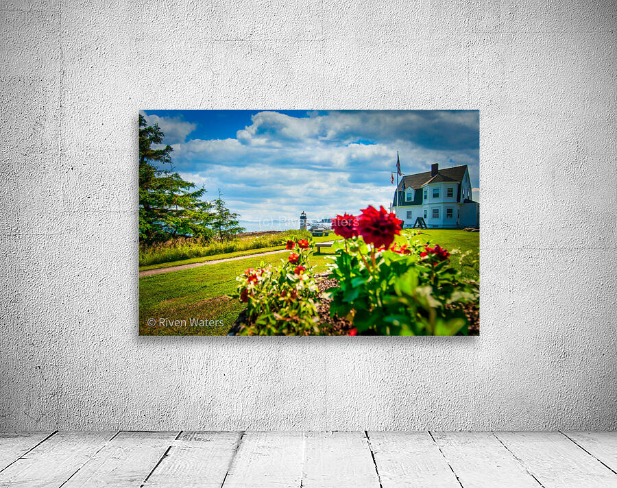 Flowers005 Wall Preview