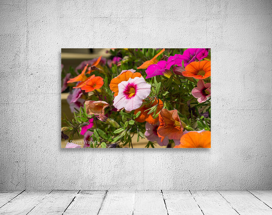 Flowers025 Wall Preview