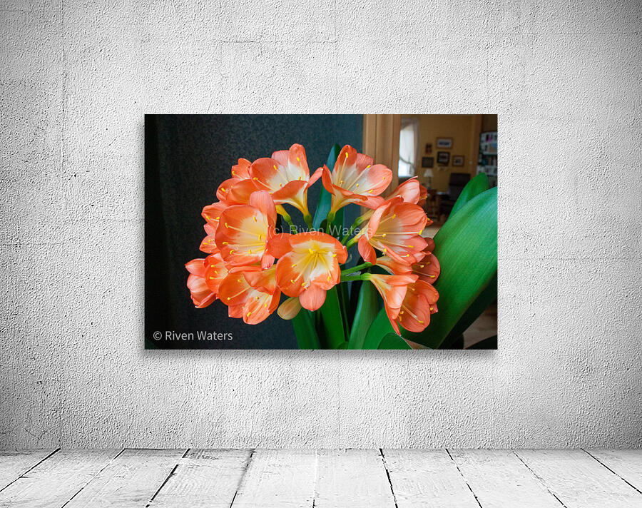 Flowers022 Wall Preview