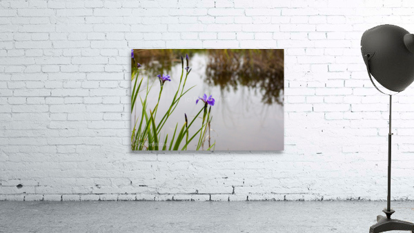 Flowers030 Wall Preview