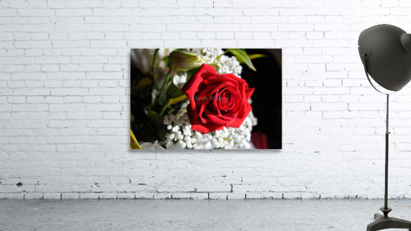 Flowers014 Wall Preview