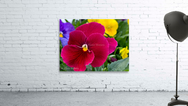 Flowers033 Wall Preview