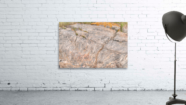 Coastal 048 Wall Preview