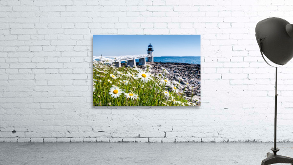 Coastal 054 Wall Preview