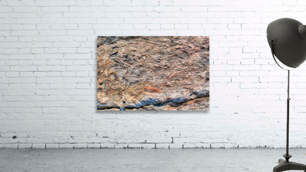 Coastal 042 Wall Preview