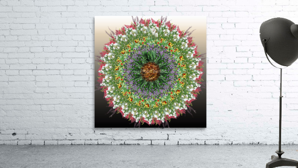 Mandala 006 Wall Preview