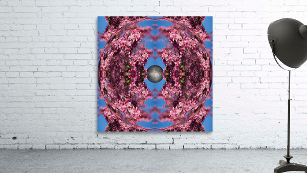 Mandala 005 Wall Preview