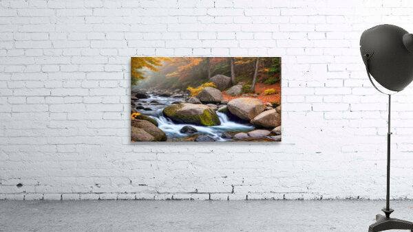 Fall No12 Wall Preview