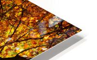 Yellow HD Metal print