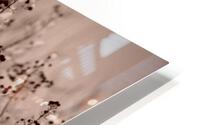 freeze  HD Metal print