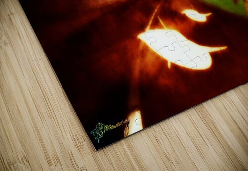 Between Worlds C-Venus puzzle