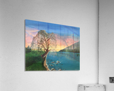dream resize Acrylic Print