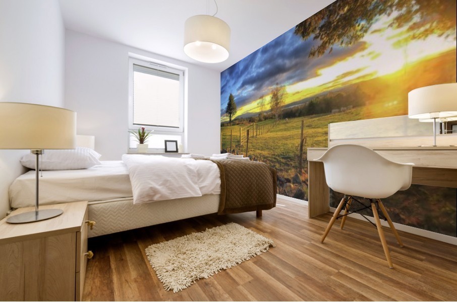 Sunapee Pano Mural print
