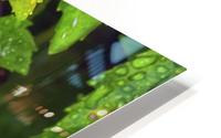 Green Leaf HD Metal print