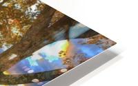 Sunapee Pano HD Metal print