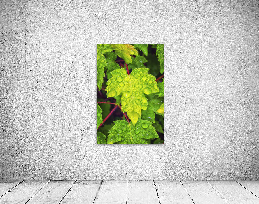 Green Leaf Wall Preview