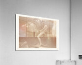 Lady Godiva – John Collier  1897 Acrylic Print