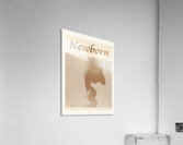 Newborn Acrylic Print