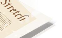 Graceful Stretch HD Metal print