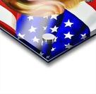 Murica Acrylic print