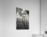 Ascendance Acrylic Print