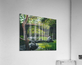 Minnesota Arboretum Acrylic Print