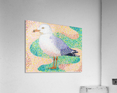 Seagull Acrylic Print