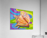 Seashell Acrylic Print