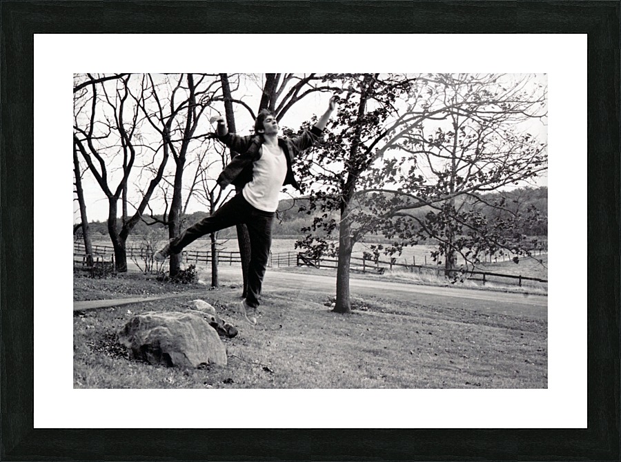 Aloft Picture Frame print