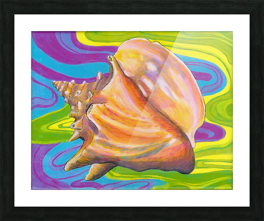 Seashell Picture Frame print