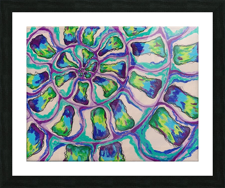 Ammonite Picture Frame print
