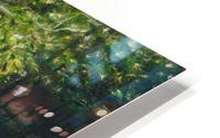 Minnesota Arboretum HD Metal print