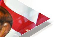 Murica HD Metal print