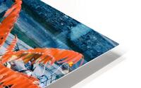 Sailing Through HD Metal print