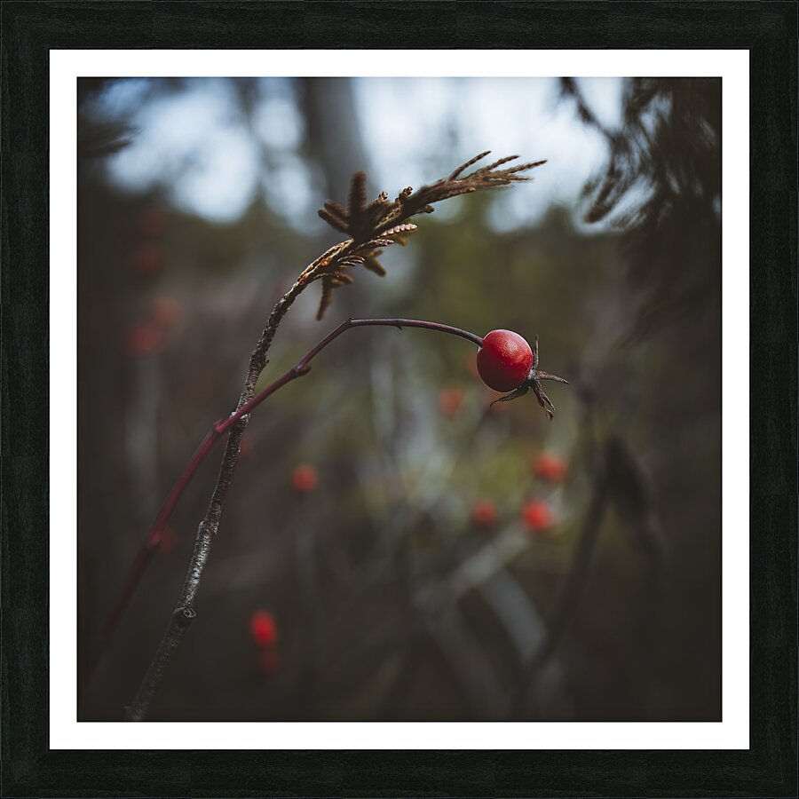  VOP5728 Picture Frame print
