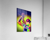 Post Malone  Acrylic Print