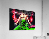 Zoro Acrylic Print